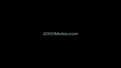 2000 Mules Theatrical Trailer