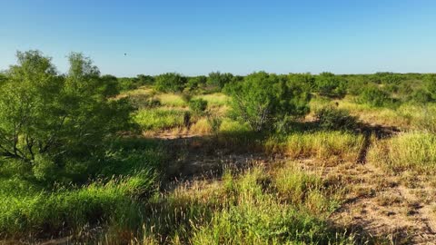Guajillo Ranch For Sale in South Texas | 307 Acres