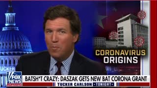 USA - Latest NIH Bat Shit Crazy Research Could Be to “Find” the Original Strain of COVID
