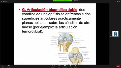 2 Clase 2021 - Anatomia - Articulaciones - Dra. Junco 10_03_2021