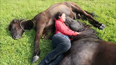 Incredible bond between woman and horses
