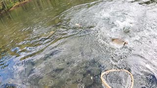 Short video clip from my next fishing adventure!