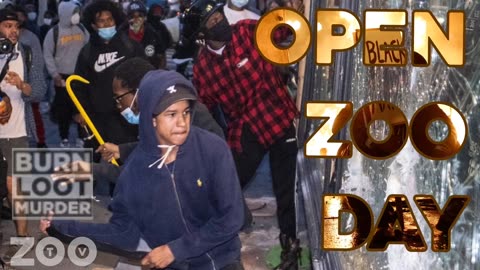Diversity is Our Strength: Open Zoo Day in USA