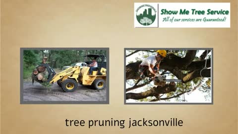 tree trimming jacksonville