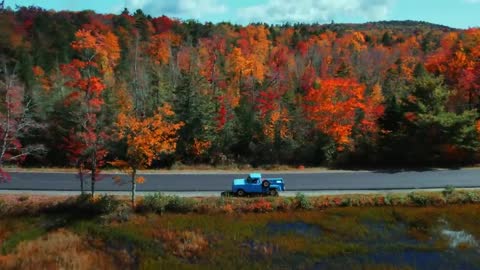 The Beauty of Peak Fall Foliage 🍁 Autumn in New England Part 1-19