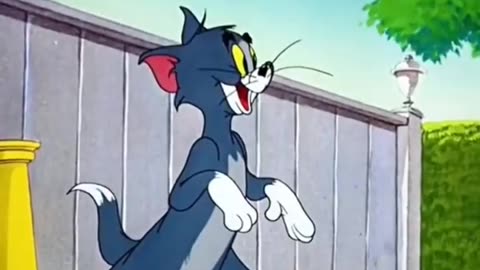 Tom and Jerry best cartoon