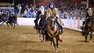 2023 Scottsdale Arabian Horse Show