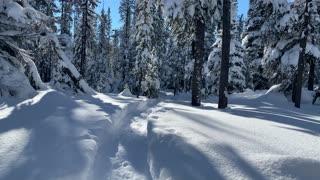 Boot Packing vs. Snowshoeing – Central Oregon – Swampy Lakes Sno-Park – 4K