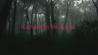 Camping in the Forest