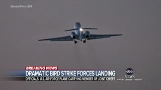 Bird strike forces emergency landing of US Air Force plane