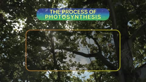 STEMonstrations: Photosynthesis NASA