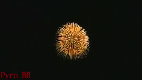 Shell fireworks