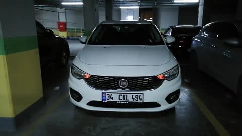 FIAT EGEA SAYING HI