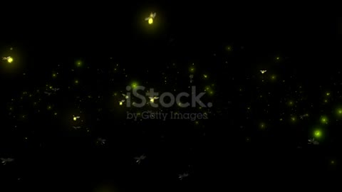 3D Animation of a swarm of glowing fireflies flying around over a black background.