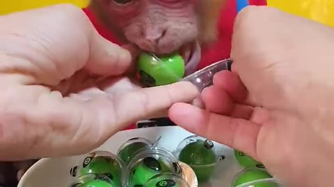 Lovely monkey eggs surprise candy