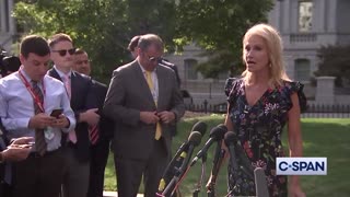 Kellyanne Conway accuses Pelosi of doing bidding of Democrat men