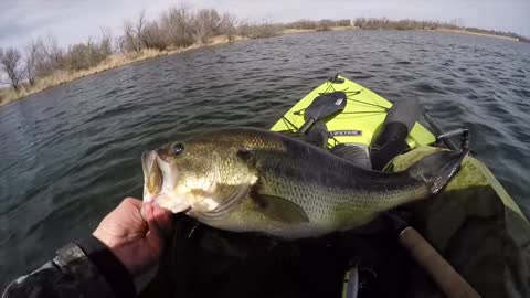 Fishing - Beautiful Pre-spawn Bass - Unknown Water