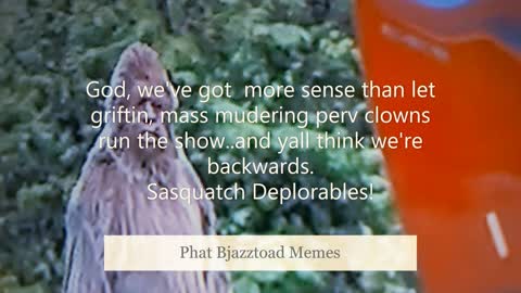 Sasquatch Deplorables !!