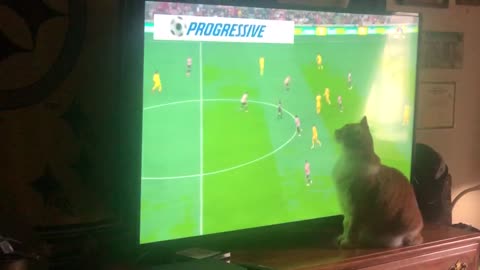 Peanut playing/watching soccer