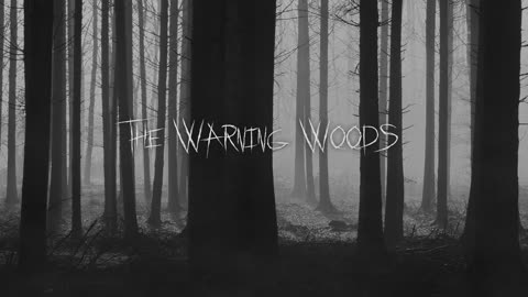 AN OVERNIGHT VISIT | Extraterrestrial Horror Story | The Warning Woods Horror Fiction Scary Stories