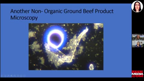 Maria Zee and Dr. Ana Mihalcea Grocery Meat Contaminated With Graphene and Hydrogel Nano Structures