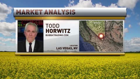Whipsaw Affair in Grain Market, Strong Action in Crude Oil