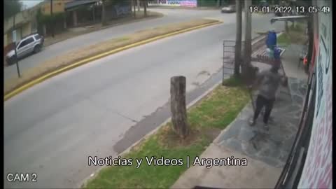 A cunning neighbor stops the robbers with the help of a fence