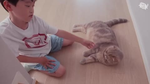 What are the cats' reactions when a kid cries?