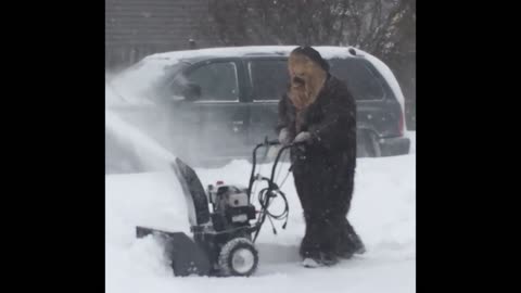 Chewbacca snowblows his driveway on planet kashyyyk