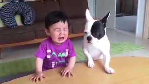 Funny kid and dog