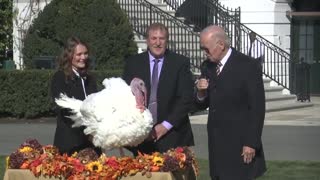 JOE TALKS TURKEY: Watch Biden Pardon a Turkey, Then He Tries to Interview It