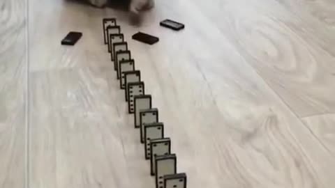 Puzzle game of cat