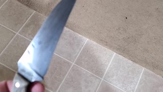 First karambit