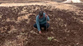 Turkish farmers blame extreme drought on climate change