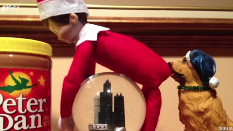 Best Most Twisted Elf on the Shelf Holiday Ideas