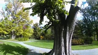 Halifax Public Gardens