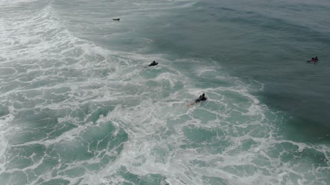 A view of the ocean and surfing