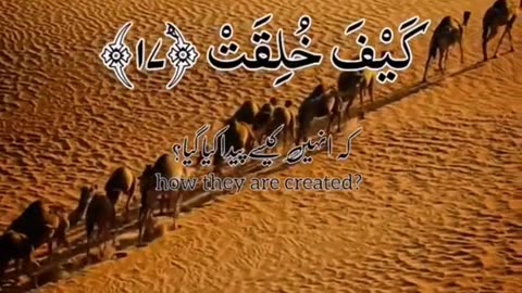 #Short_Quran_telawat_video #Telawat_e_quran_pak #mustwatch #shortvideo #shorttelawat