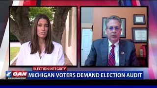 Mich. voters demand election audit