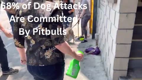 Pitbulls - Beware!!