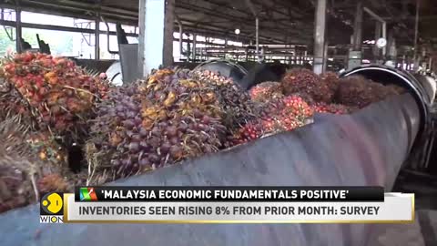 Malaysia: Inventories seen rising 8% from prior month | Latest World News | Business