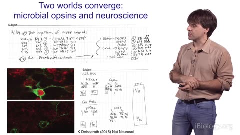 Karl Deisseroth (Stanford / HHMI): Development of Optogenetics 2016