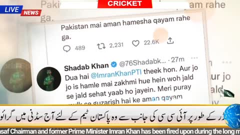 Pakistani Players on Imran Khan | Pakistani Cricketers on Imran Khan | Pakistan Cricket | PTI |Babar