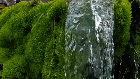 Relaxing and Wonderful Waterfall: Nature's Own Stress Reliever