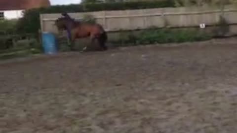 Bareback Rider Takes a Flying Fall