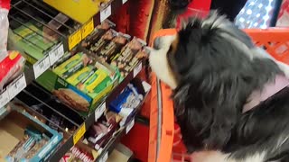 Maggie at the checkout
