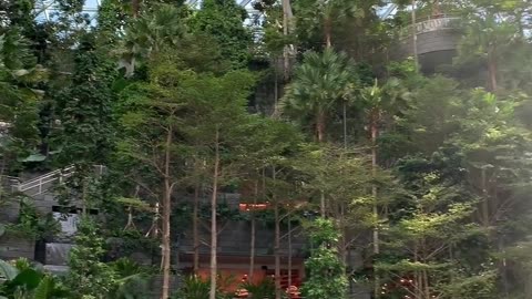 Indoor nature view of Jewel Changi Airport, Singapore