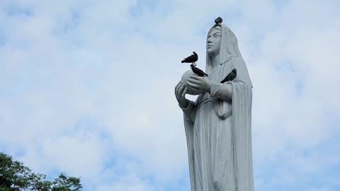 Black Crows Standing On Acient Lady Statue