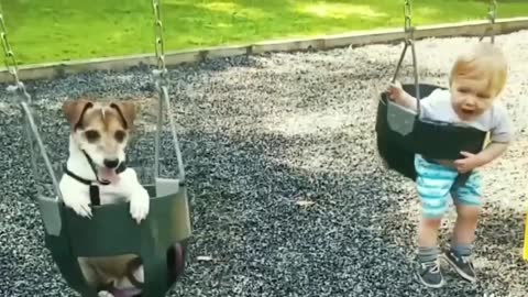 Baby and dog on the swing