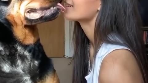 Rottweiler stops to listen to the gossip 😂 😍